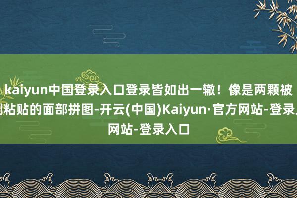 kaiyun中国登录入口登录皆如出一辙!像是两颗被复制粘贴的面部拼图-开云(中国)Kaiyun·官方网站-登录入口