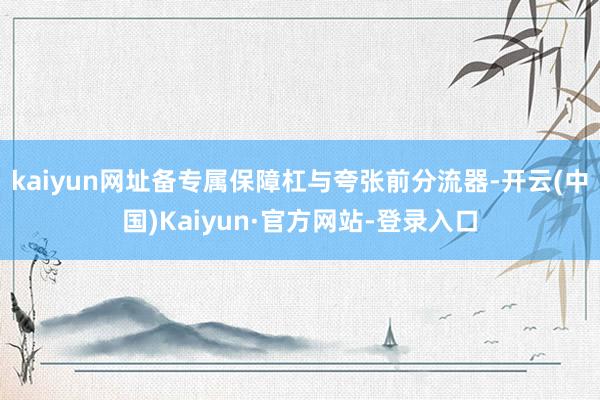 kaiyun网址备专属保障杠与夸张前分流器-开云(中国)Kaiyun·官方网站-登录入口
