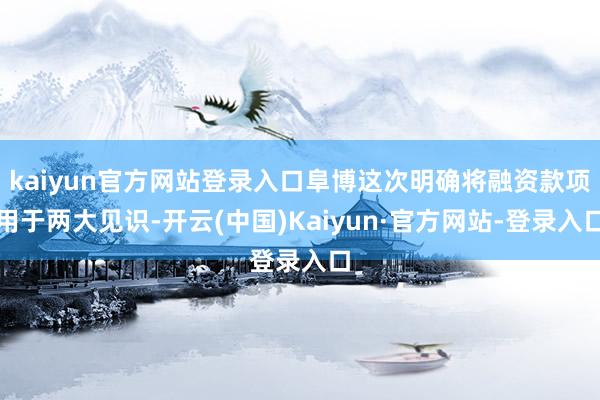 kaiyun官方网站登录入口阜博这次明确将融资款项用于两大见识-开云(中国)Kaiyun·官方网站-登录入口